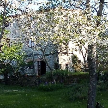La Fonte B&B Pietralunga  Dış mekan fotoğraf