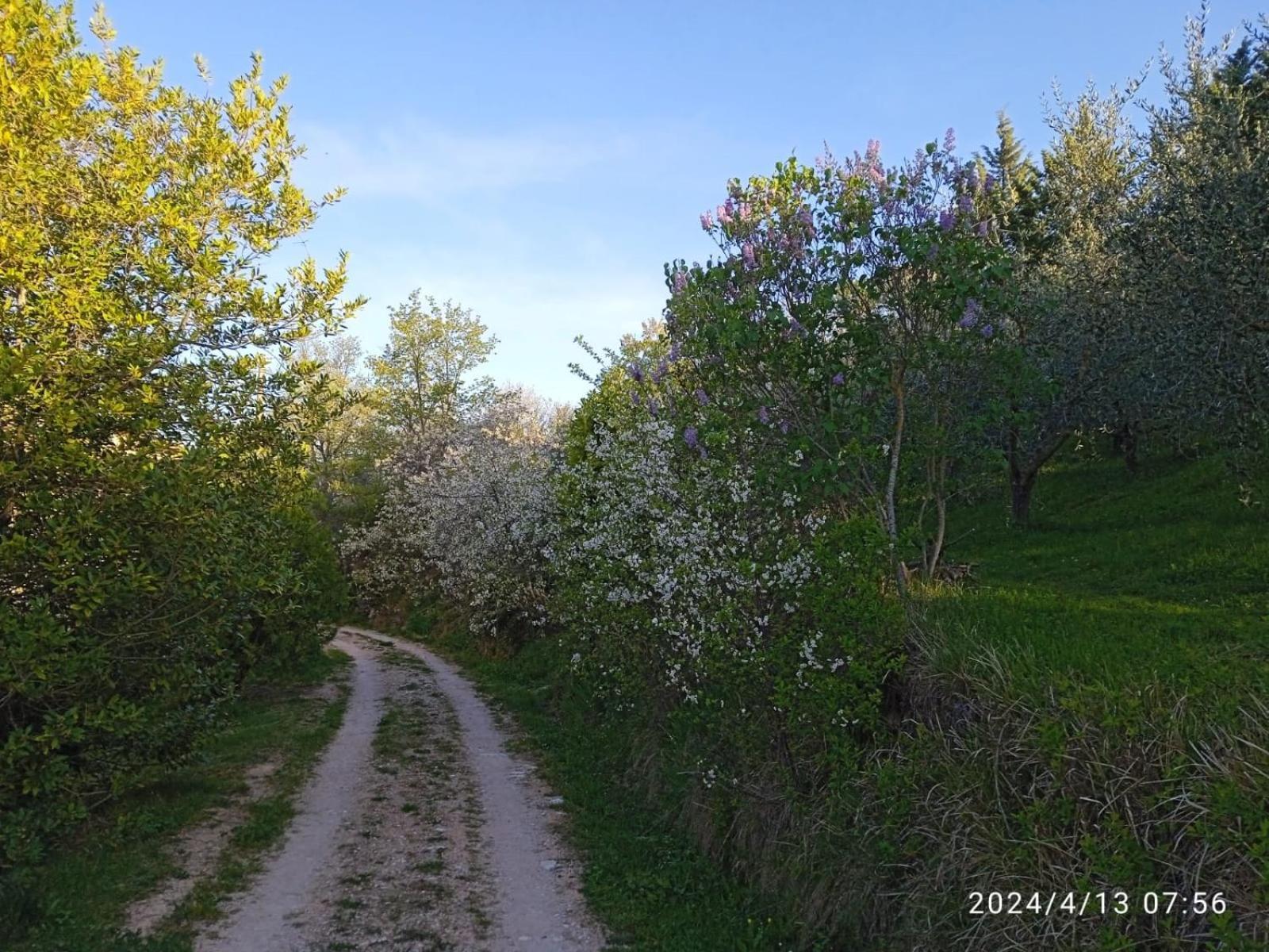 La Fonte B&B Pietralunga  Dış mekan fotoğraf