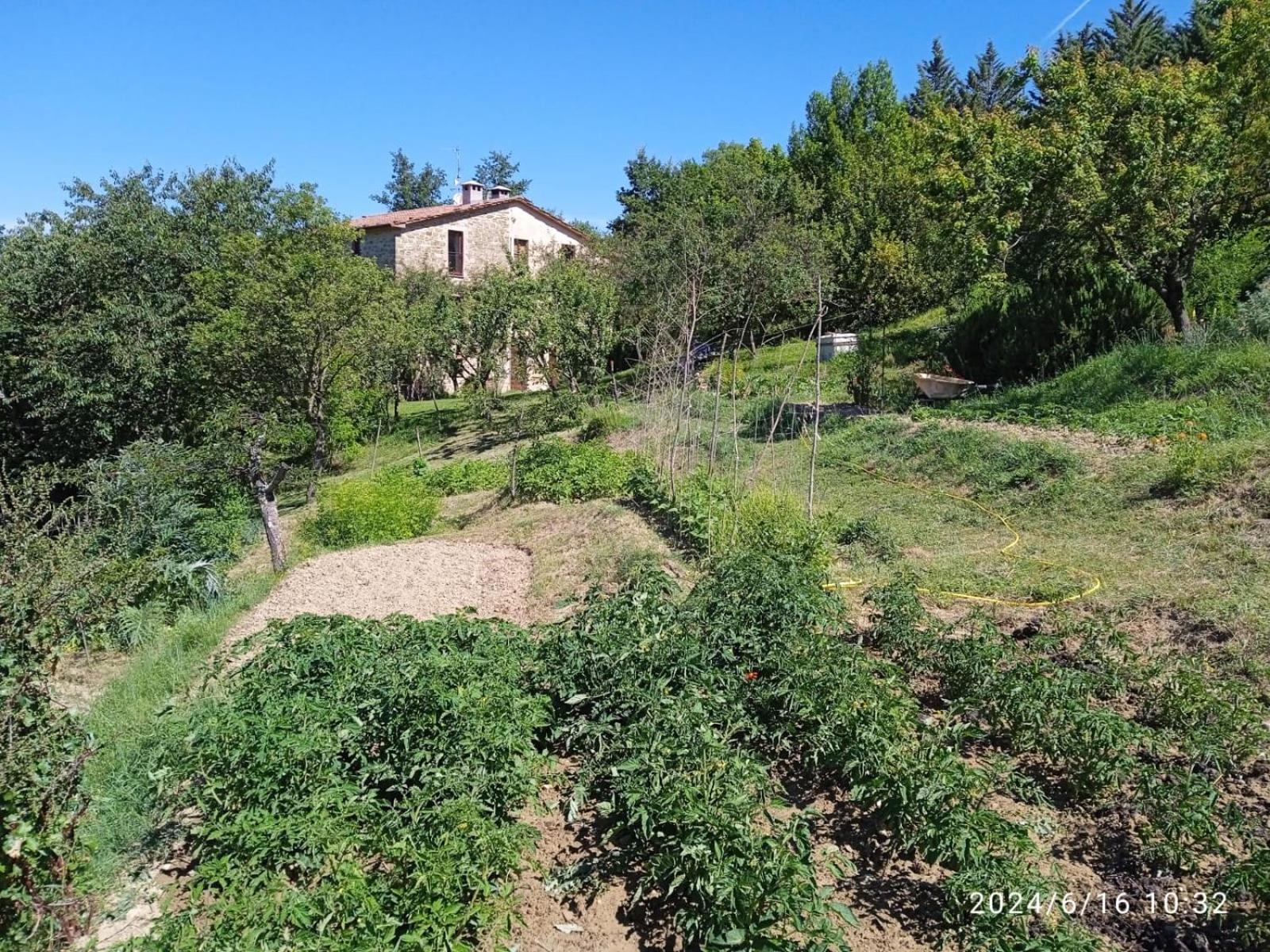 La Fonte B&B Pietralunga  Dış mekan fotoğraf