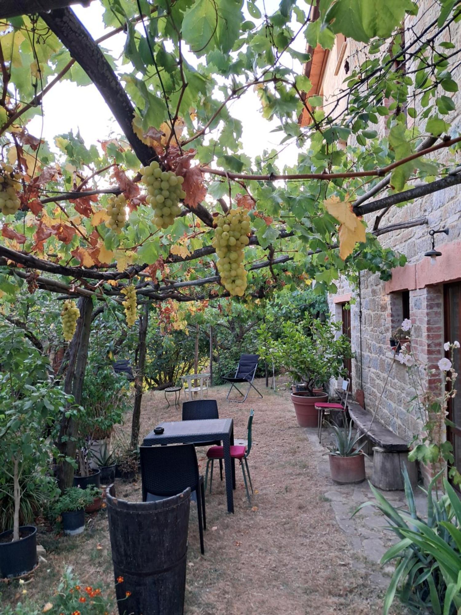 La Fonte B&B Pietralunga  Dış mekan fotoğraf