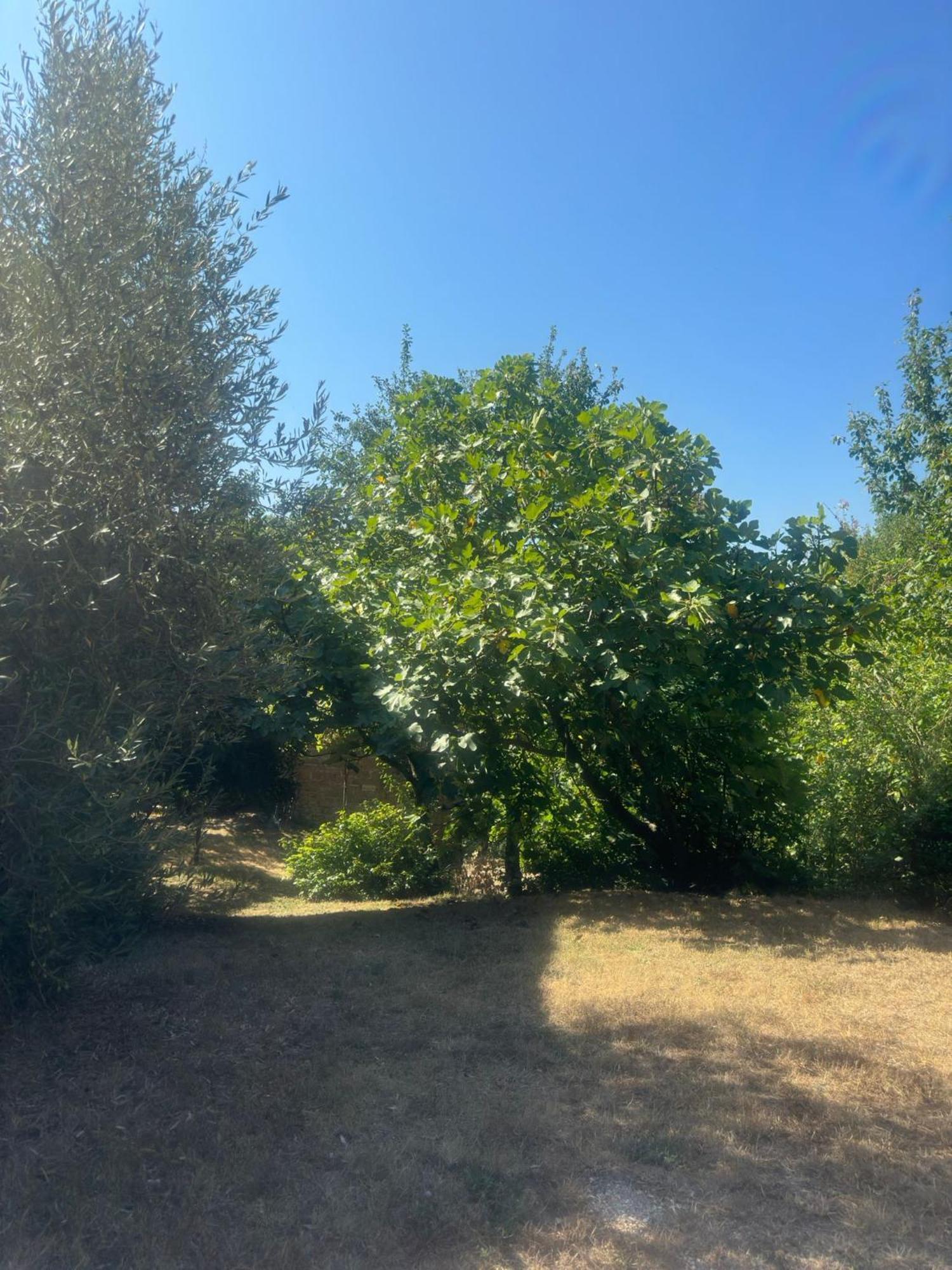 La Fonte B&B Pietralunga  Dış mekan fotoğraf