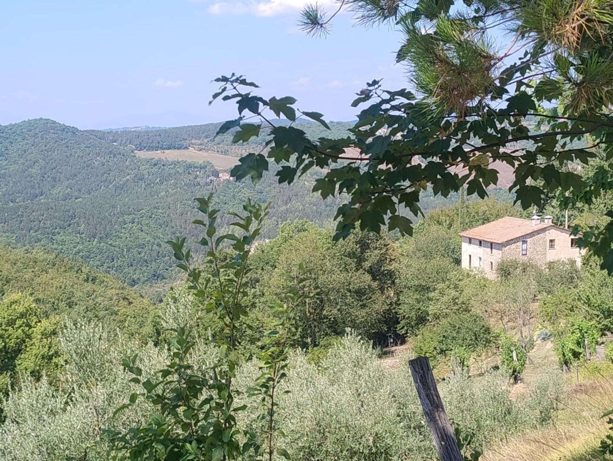 La Fonte B&B Pietralunga  Dış mekan fotoğraf