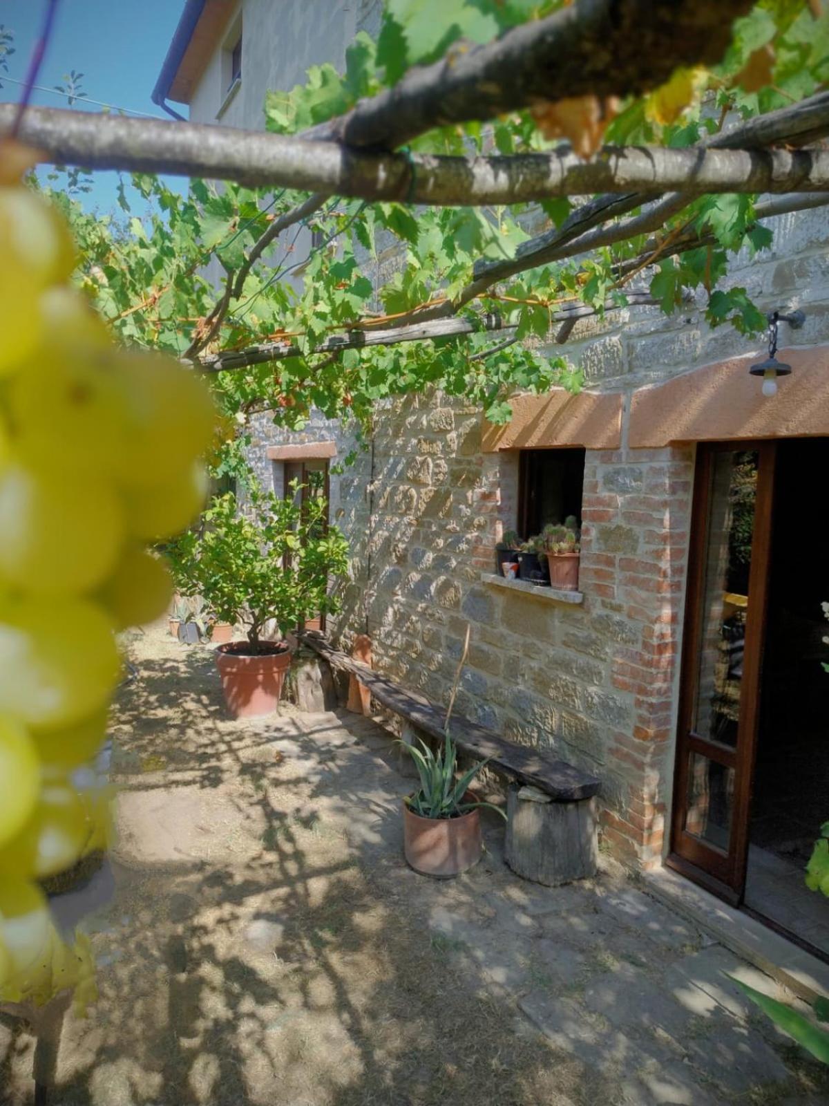 La Fonte B&B Pietralunga  Dış mekan fotoğraf