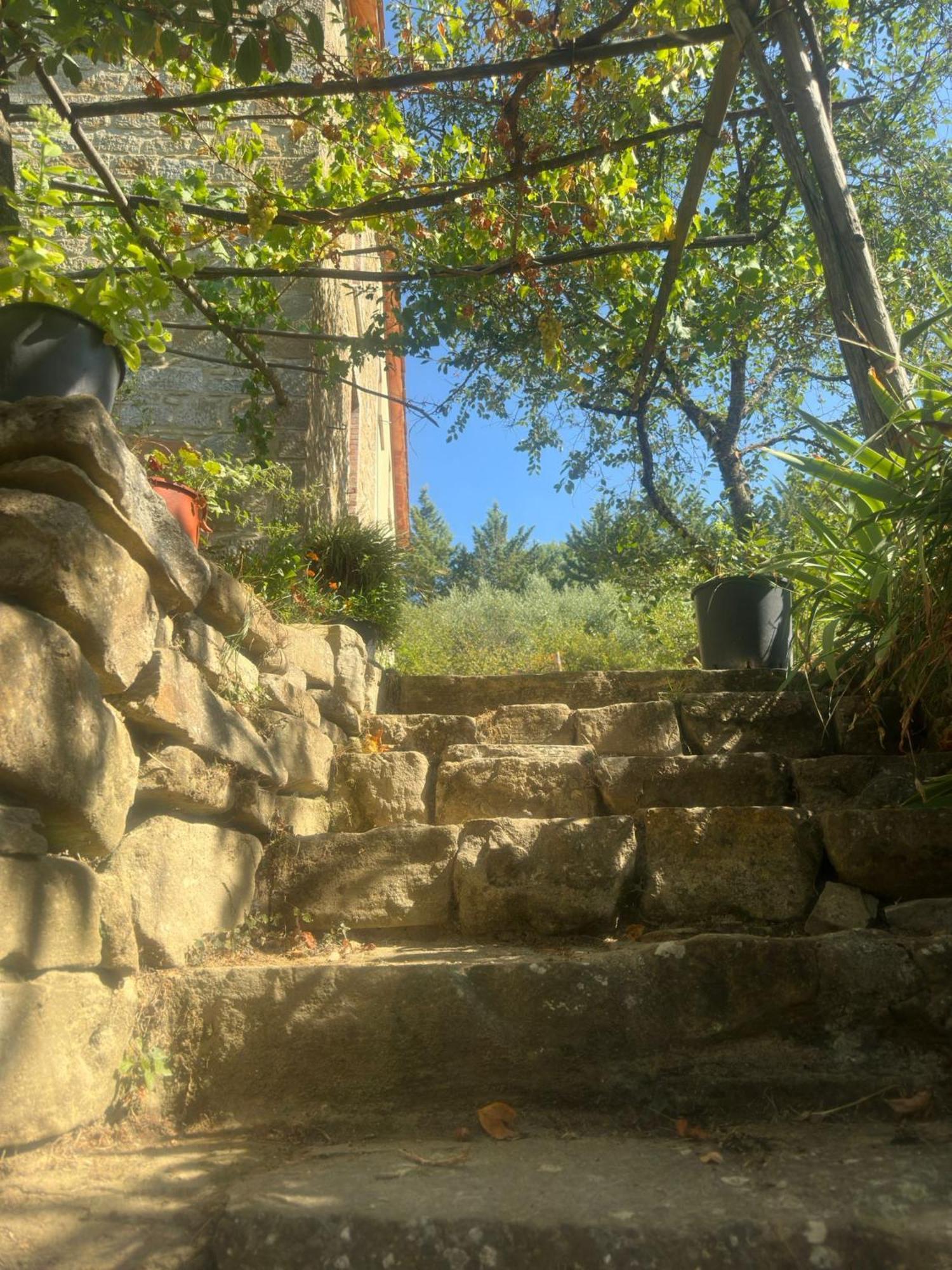 La Fonte B&B Pietralunga  Dış mekan fotoğraf