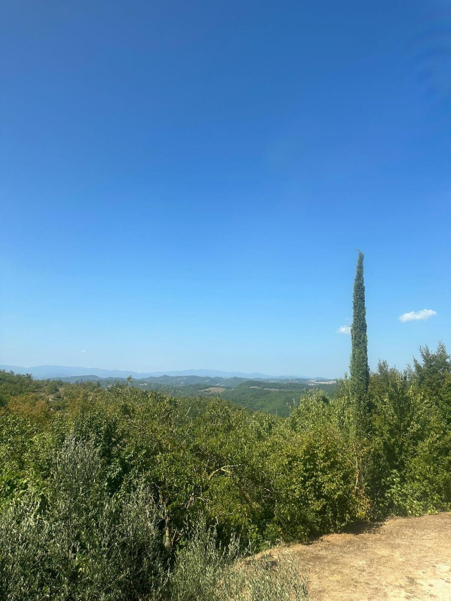 La Fonte B&B Pietralunga  Dış mekan fotoğraf