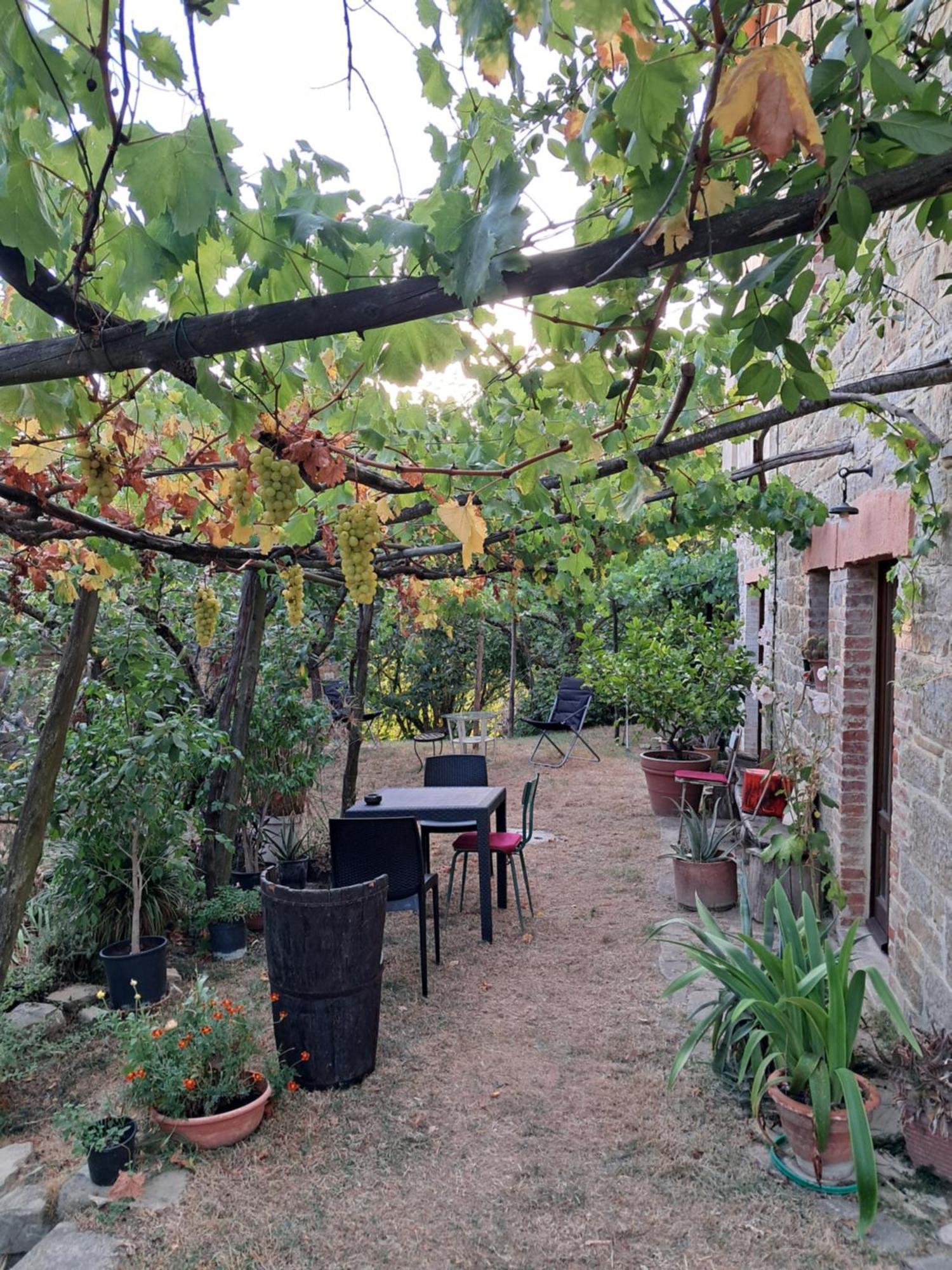 La Fonte B&B Pietralunga  Dış mekan fotoğraf