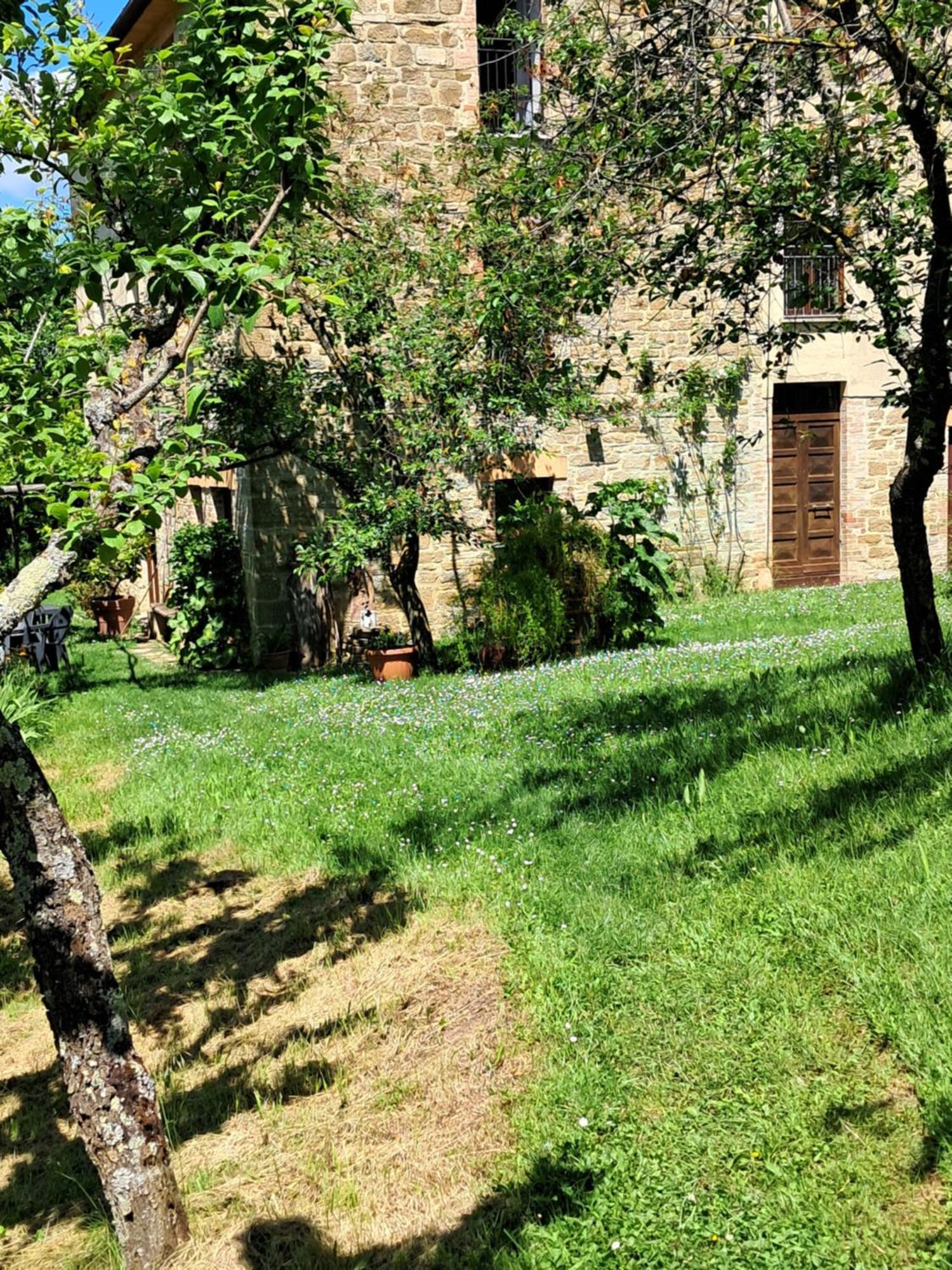 La Fonte B&B Pietralunga  Dış mekan fotoğraf